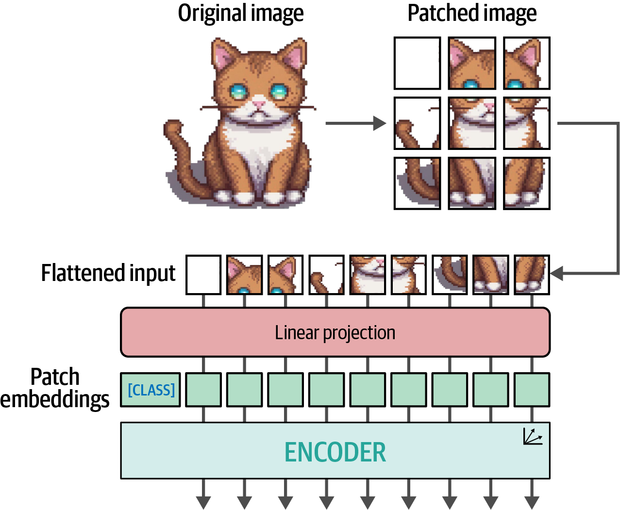 The main algorithm behind ViT